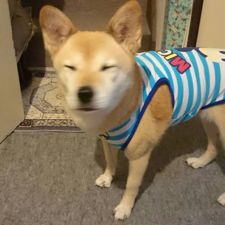 082abb00 efad 4298 acbf 9397b52823ff