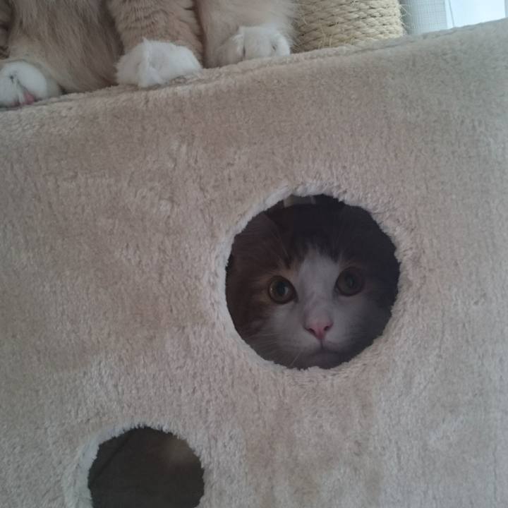 082b1763 7bf8 4f39 8b00 7e56694d5cec