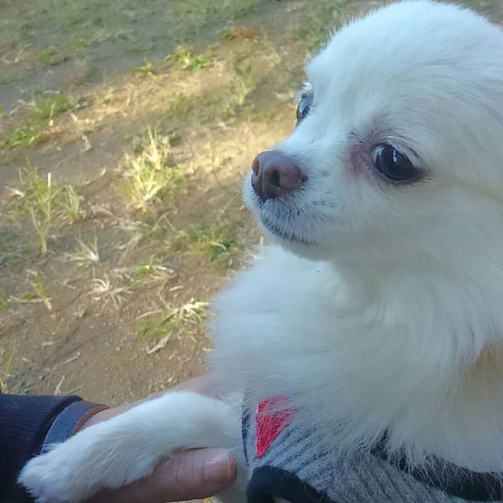 082b4ee0 deb3 4d7d 9594 3d23daa61221