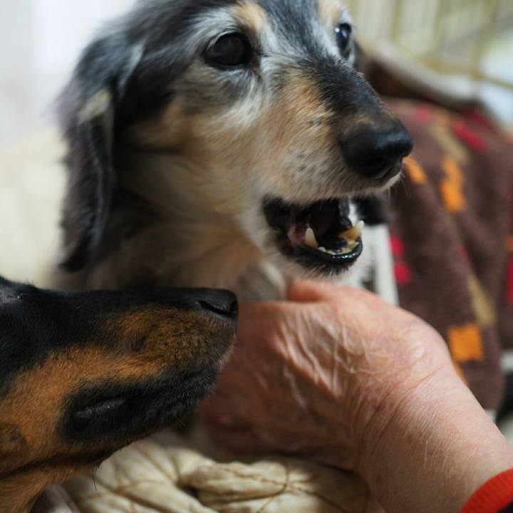 082b68b0 b138 4835 b702 65840ff2664e