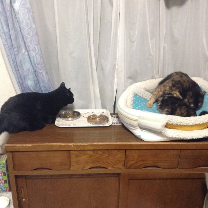 082d5e84 d997 42db ac12 4c98715e9e59