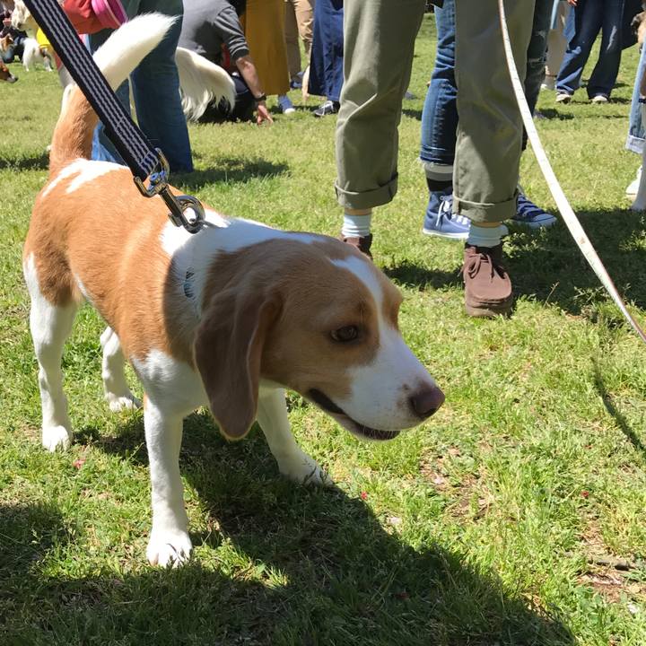 082f2092 c562 4f49 a5d6 96466e92d9fd