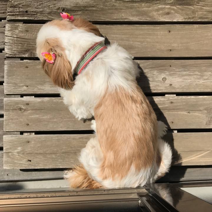 082fb455 7804 42be 97b7 e892d52f9c73