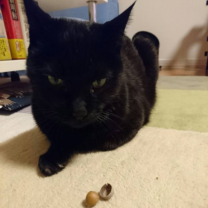 082fc312 eda5 4d8f 8f6e 20ed1fc11d68