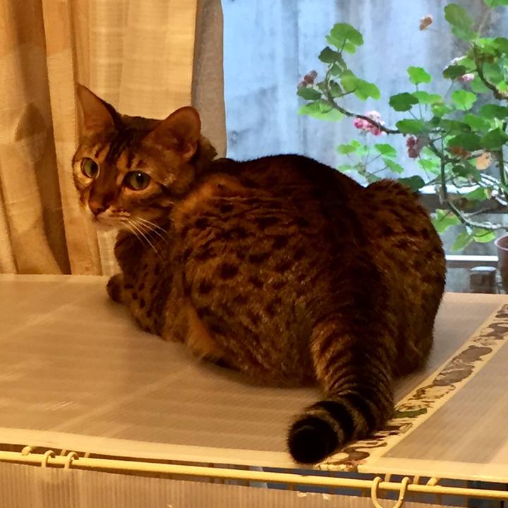 082fef1f 1306 4b5d b911 541f28c1432c