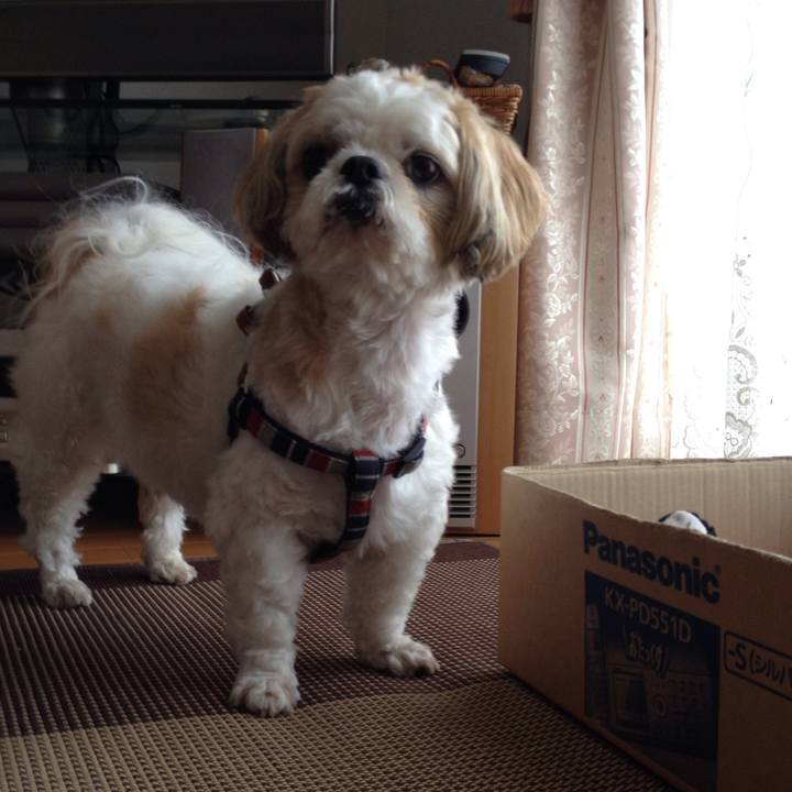 08304c32 7589 4554 8d53 46bf410888e2