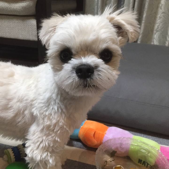 08309dd3 139c 4005 a0b8 d9d1cc31b267