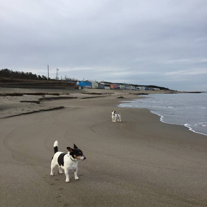 08311345 9d08 4a2b b37d 292892c9b92a