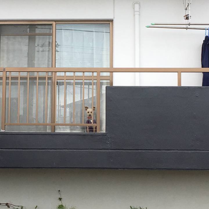 0831b99e b0be 4f11 a003 6109939dd220