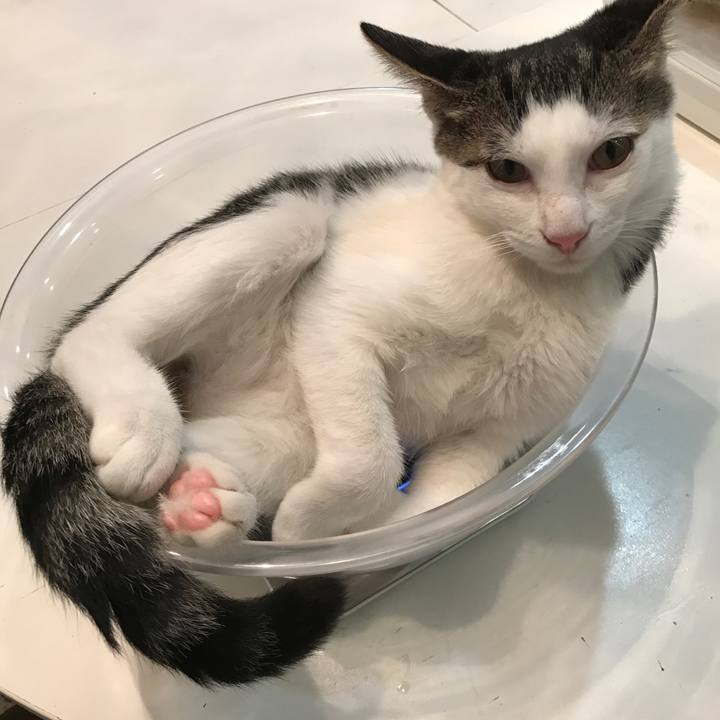 0831f76d b3d6 4971 84da 40ac2be2348c