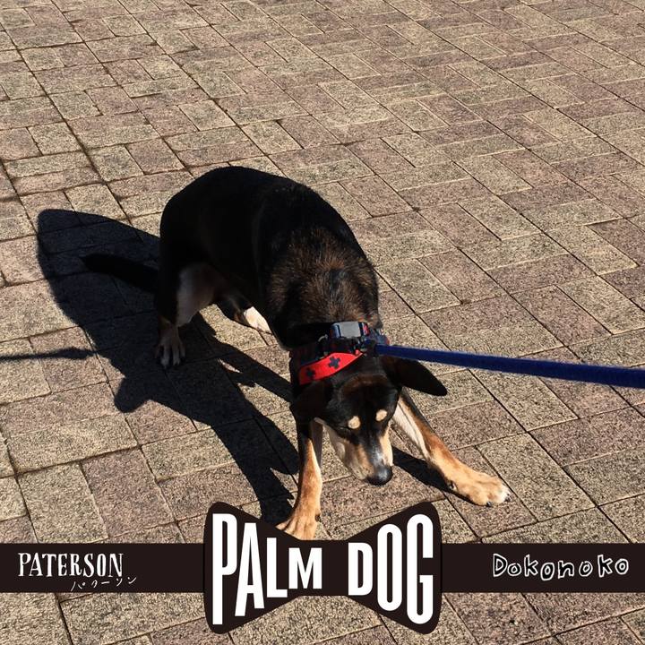 08320de4 becb 4c58 8875 f707107fc779