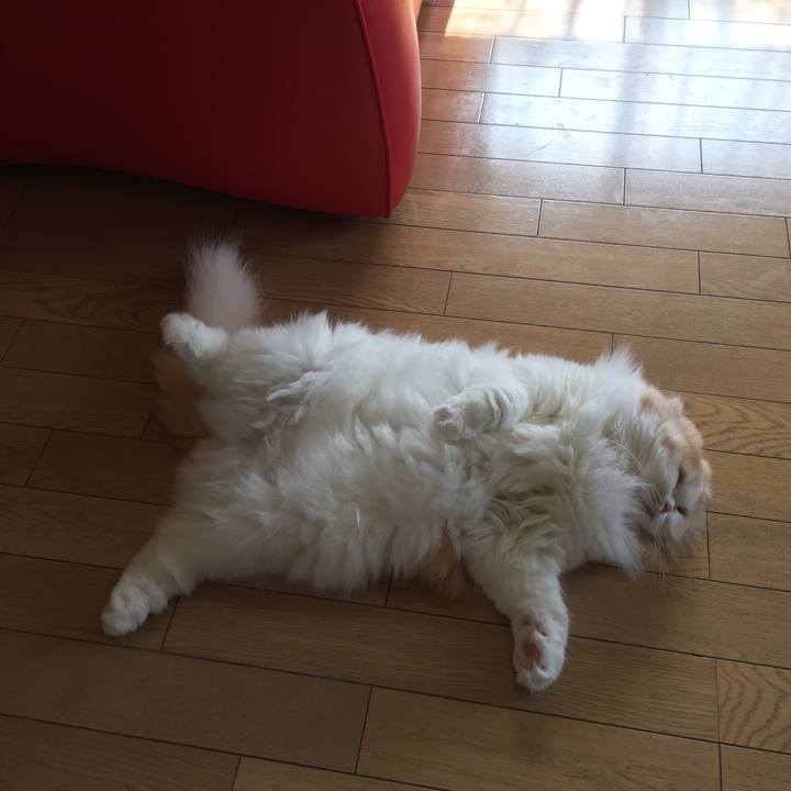 08323d2c 6294 4030 8086 6c0461a059e6