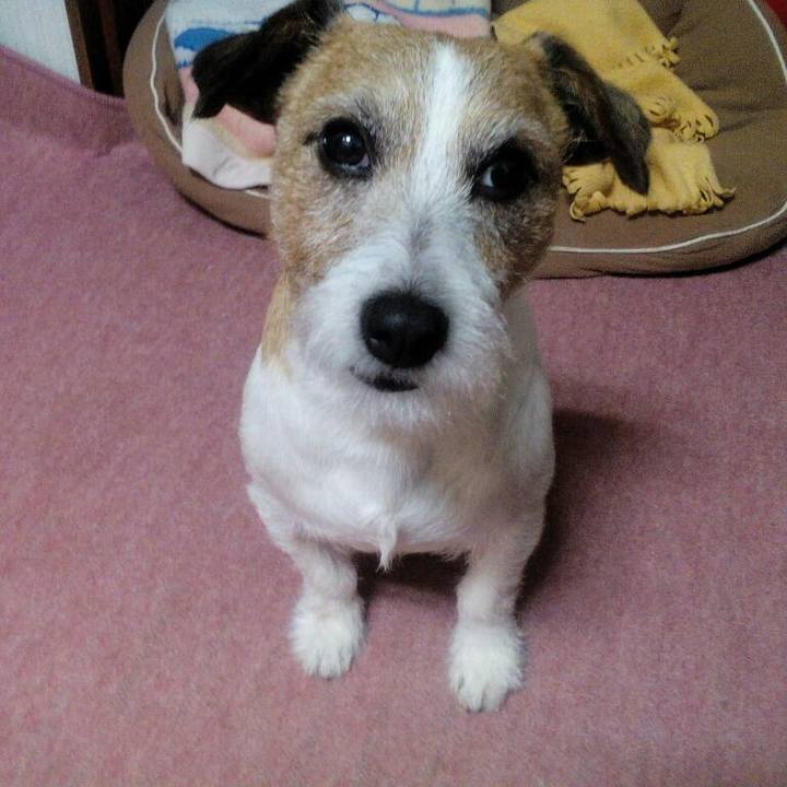 08324d3f 88ed 4907 a814 7527b5f1354c