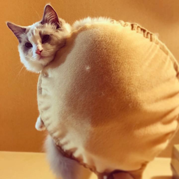 0832b29f 9daa 48a2 9eb4 3c32026a792f