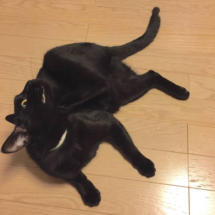 08333e58 2975 43ac b809 0e69eaf524f4