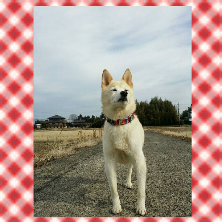 0834045b 4bb6 47ae b425 ad7bf32f4fcb