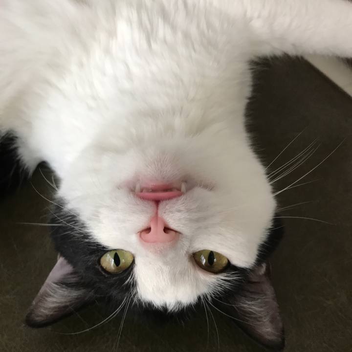 08340650 a599 4ac1 87e9 9f96089462c6