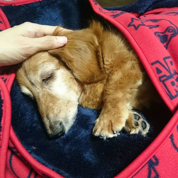 08343fc7 89e7 47fe a63e b6175eda6bc3