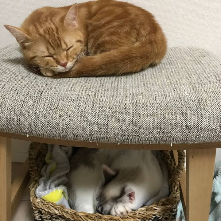 08344de0 d3b4 4720 aa84 5319f748623d