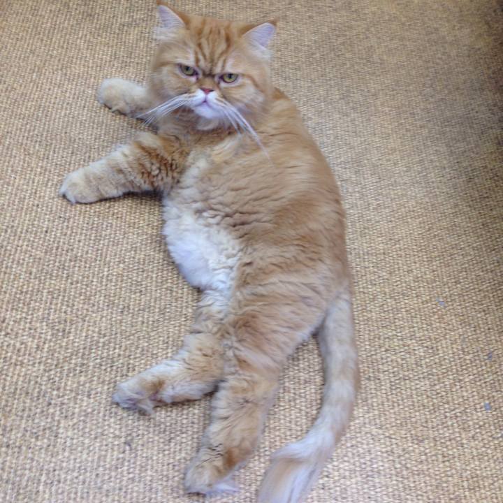 0834b1ec a07a 44d4 8b30 b57c0e48fccd