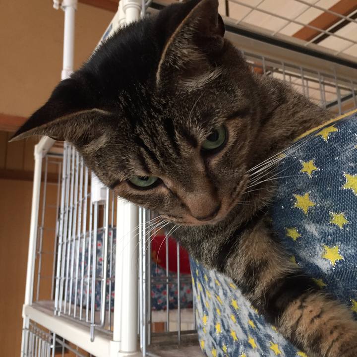 08354089 23ae 452e 9eed 7c182393b4e0