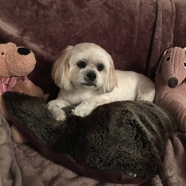 0835b3dd d77c 4e89 8f24 aa95feb751c5