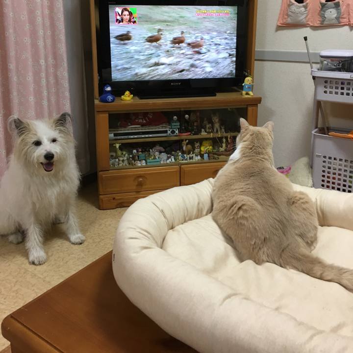 0835d236 c7f5 41d7 9e79 7f926b51e5fa