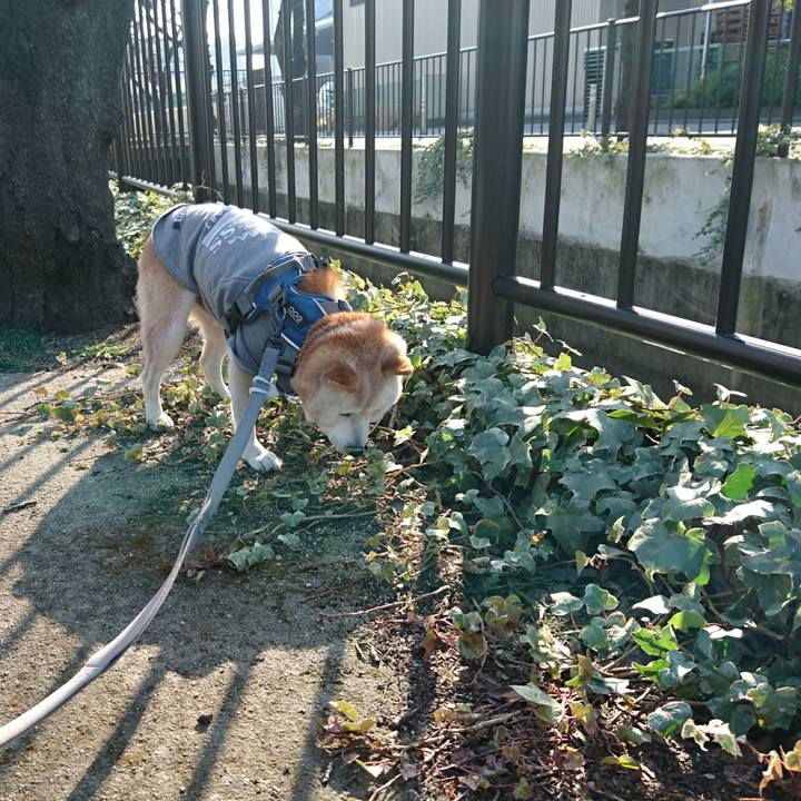 083614d4 a1a2 45a6 9e3c 1ce0374bb3b2