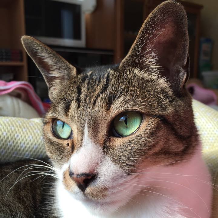 0836c672 de56 416d bddb c083d630f7cd