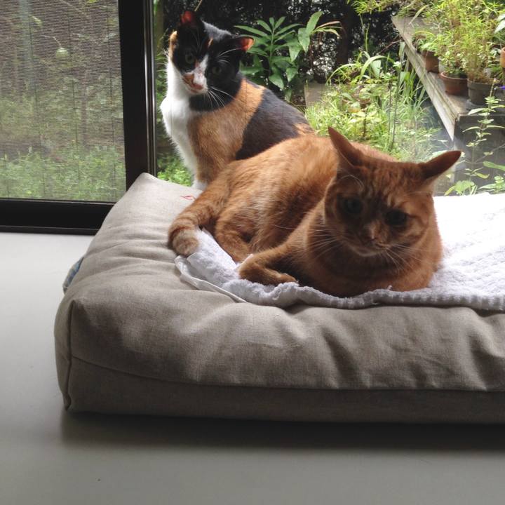 08370a67 208a 4ff5 8ee2 30fdd99ddf9a