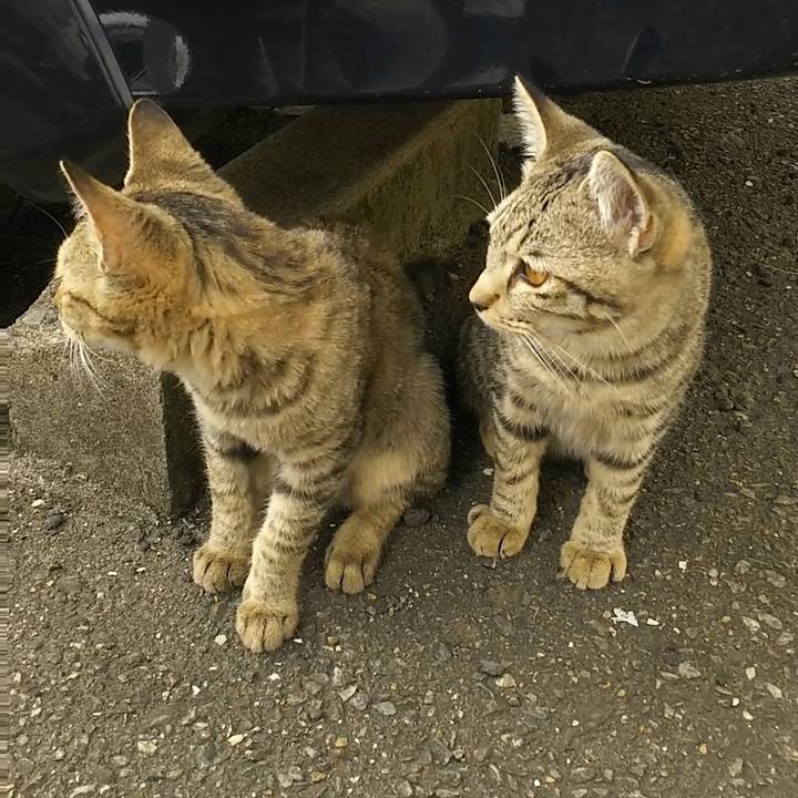 08371d79 21a8 43f7 8603 f20ba6186b2a