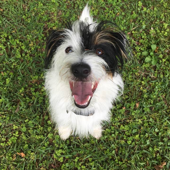 0837ea03 0983 4f24 adb5 abc2c59bb505