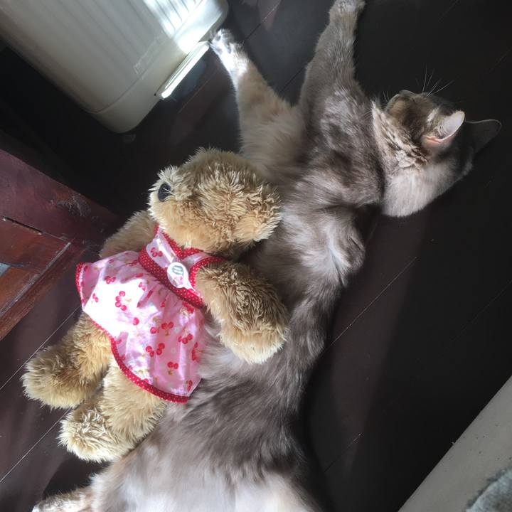 0838877d e551 4f65 88a3 bf012c798cb3