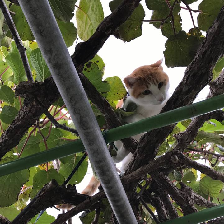 0838d727 2899 4549 8f9b 3629c879d854