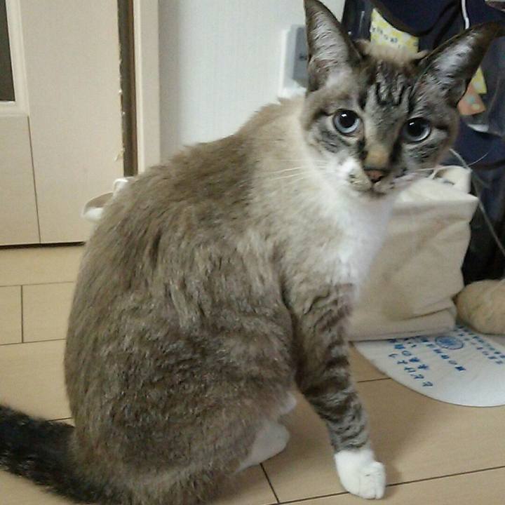 0839c09d 9148 4df1 b547 74b998cc67c9