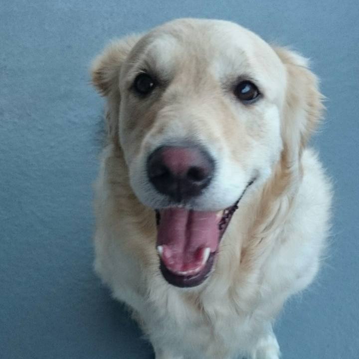 0839f515 8ef1 4013 8313 ff2d3e7cf276