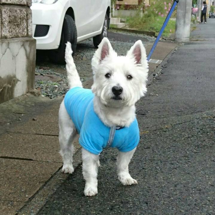 083ad799 ef7f 4ad9 ad89 5a10c49e3921