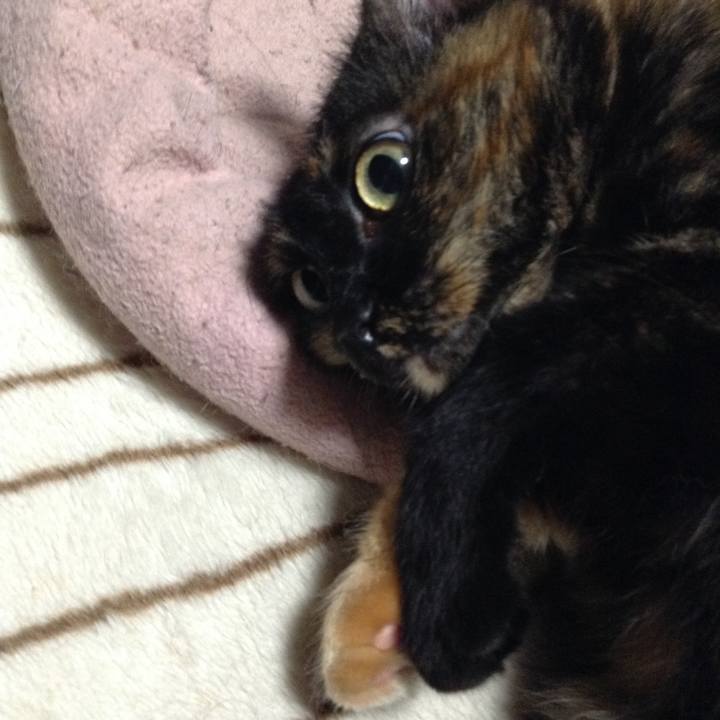 083ae071 0bb4 4a29 b1a5 091deb00dec0