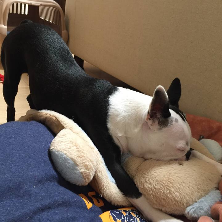 083ae37c e84a 40cd 9e8c 700e71fa7757