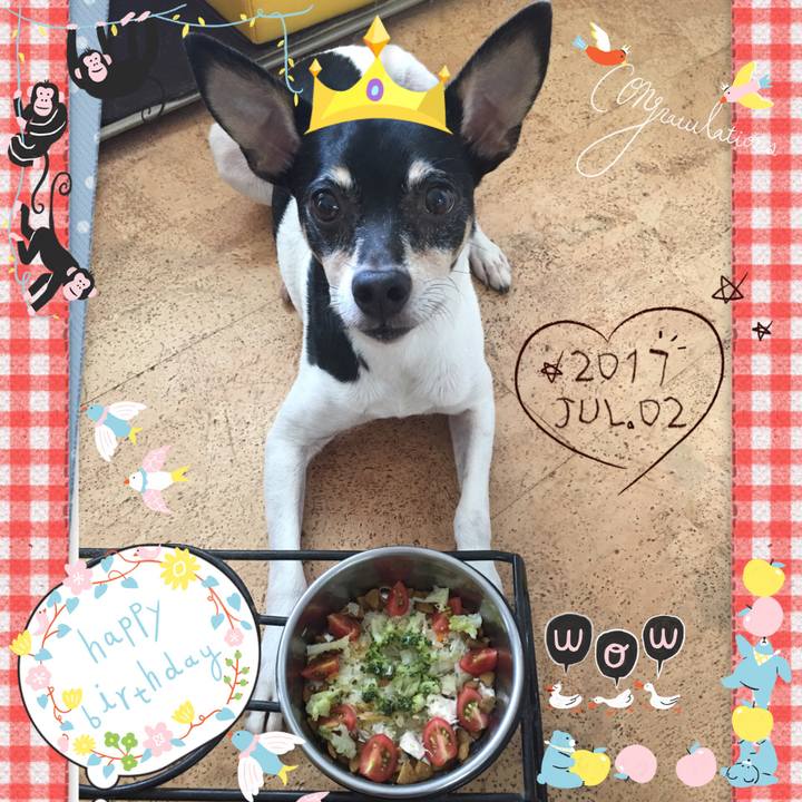 083b5d76 61b8 4648 930c 0115c5b16f20