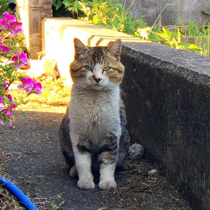 083b702e 87f1 4e76 b188 d51e5c26567e