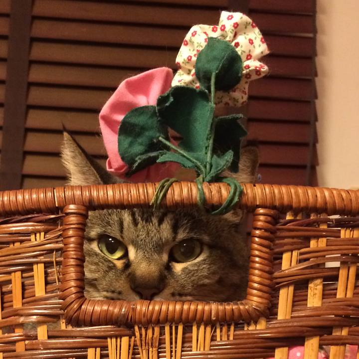 083cd8c7 2bdc 488e bbac b5620684bbe6