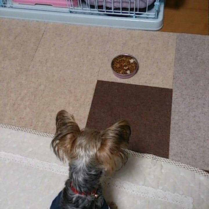 083df37d a872 4358 b7f4 5b9cace44284