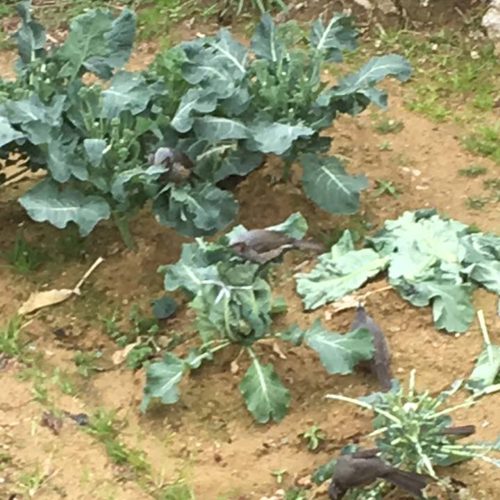 083dfcd3 6bdf 4c97 acfb 5af8c4657314