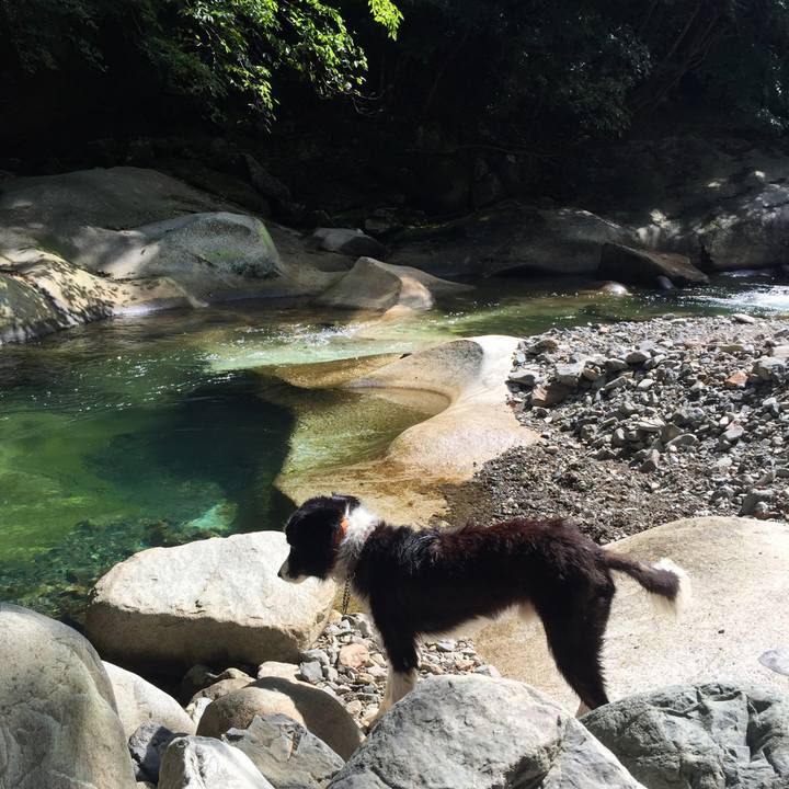 083e5719 af2b 44a5 a7b6 1be254103bb0