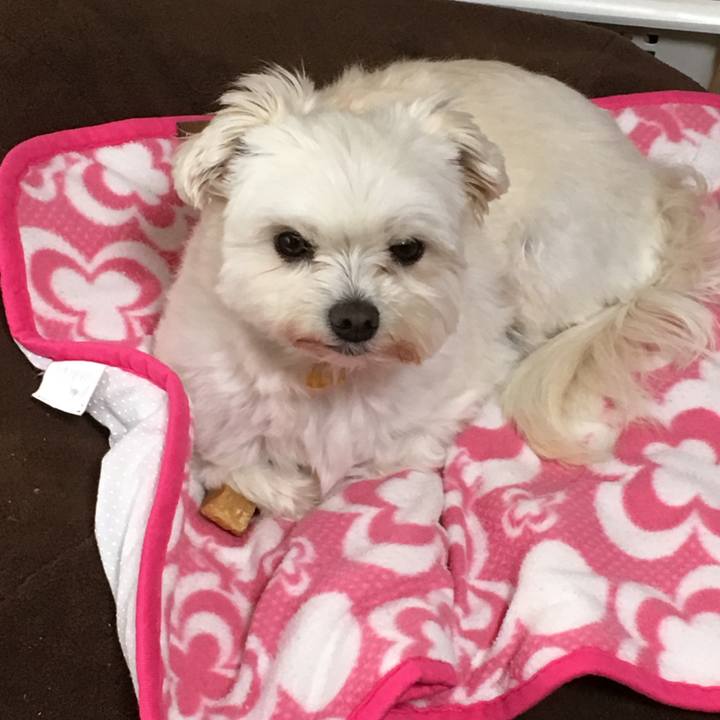 083e60b8 4d00 4929 9572 222468d1e27b