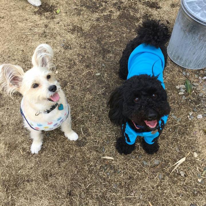 083e6fdd 6bce 4b69 8461 c5c8e21484a2