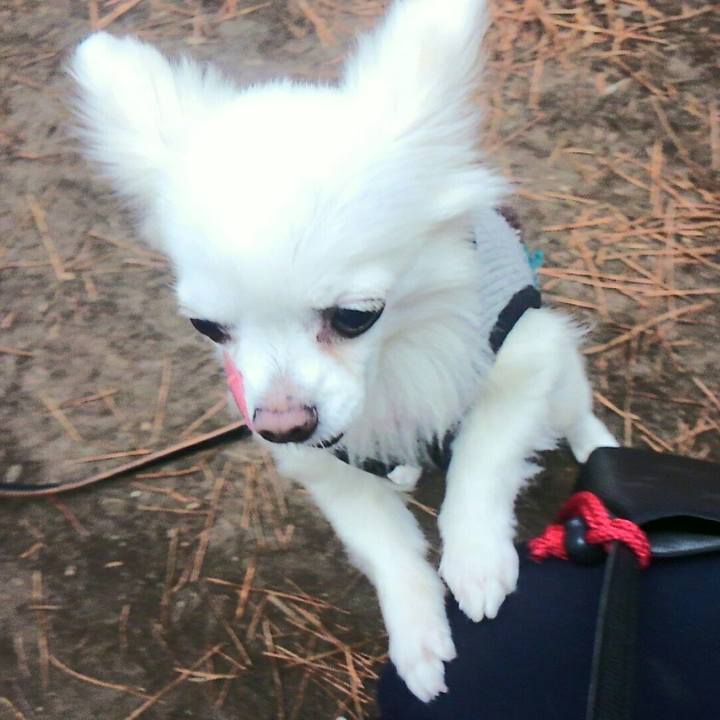 083ecc0e a9e0 4544 ad5f 7a5b0f200ccb