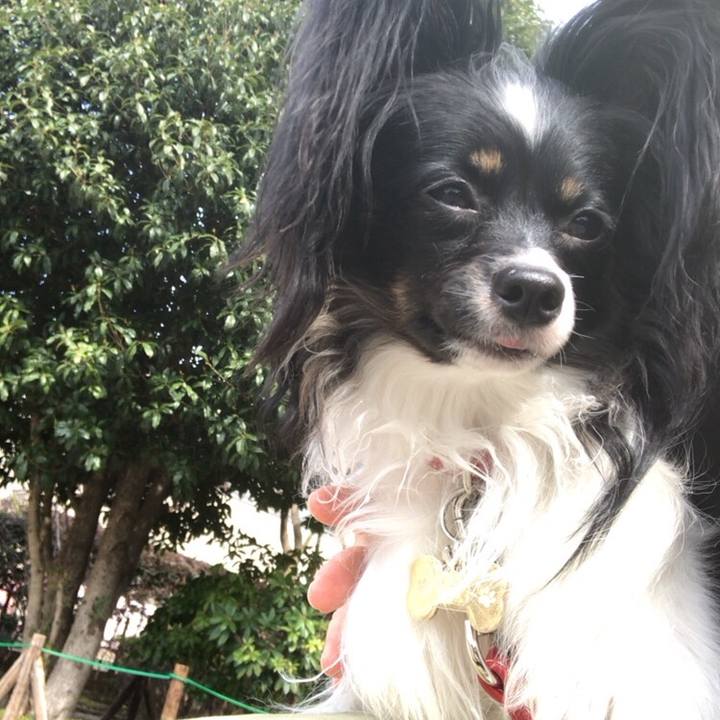 083f382c 4868 4402 9e4f 5ce67836f2e4