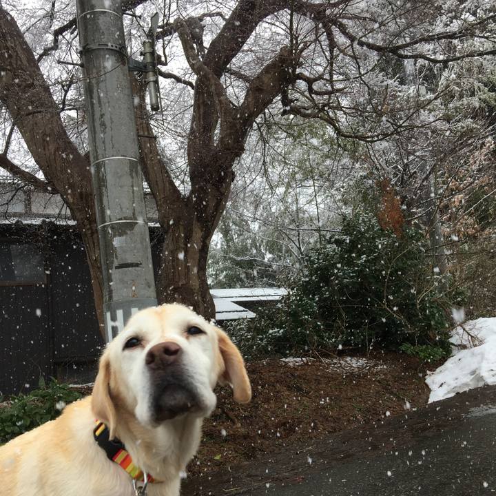 0840187c e9f5 4a18 bef8 2f5844c4ecb1